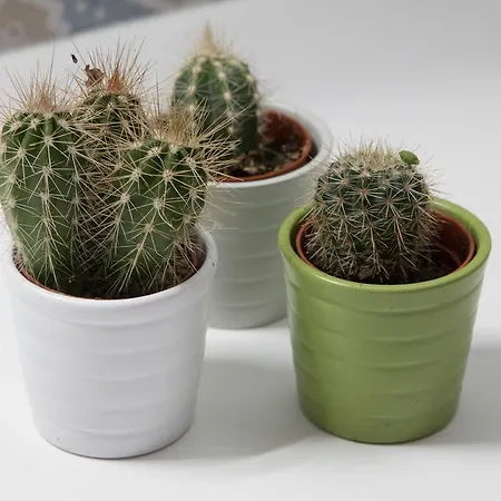 E Le Due Coste Salerno