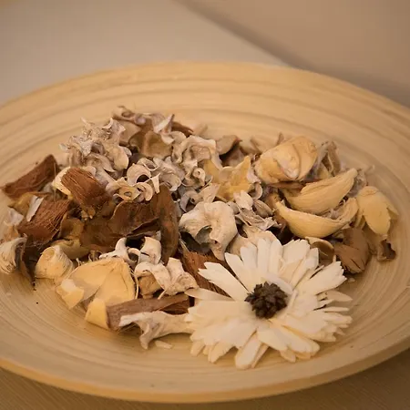 Apartament E Le Due Coste