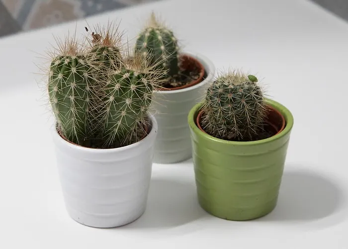 E Le Due Coste Salerno